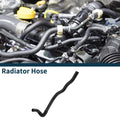 Car Radiator Hose Replacement for BMW 5 Series (F10) 2010–2016