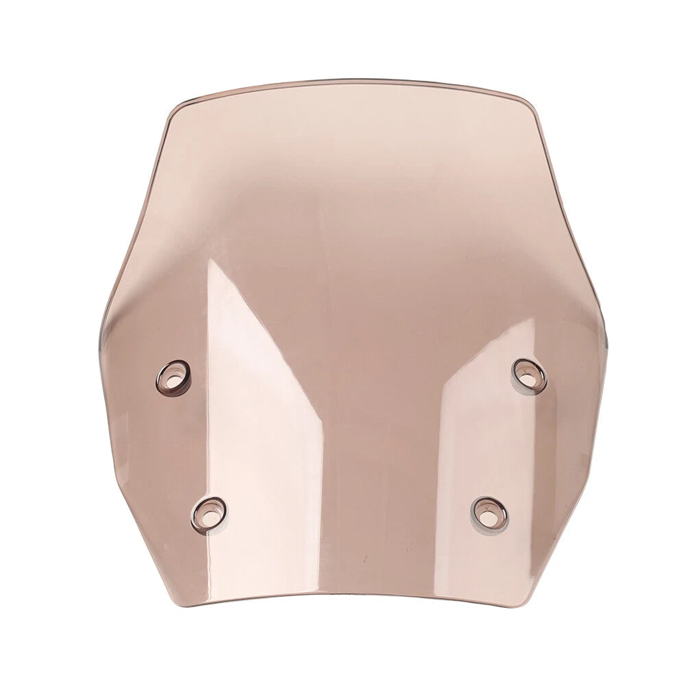 Windshield Wind Deflector for BMW R1300GS (2024)