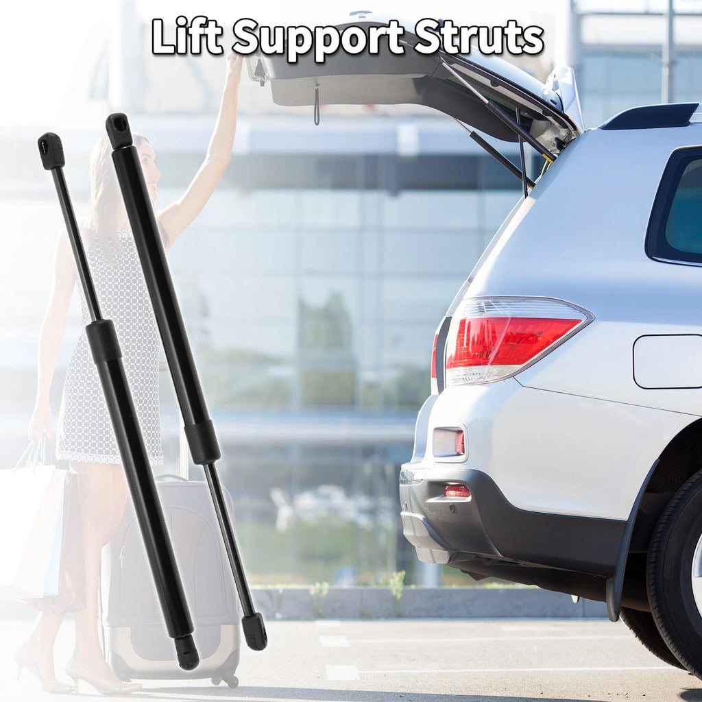 Rear Gate Lift Supports Struts for Dodge Magnum (2005–2010)