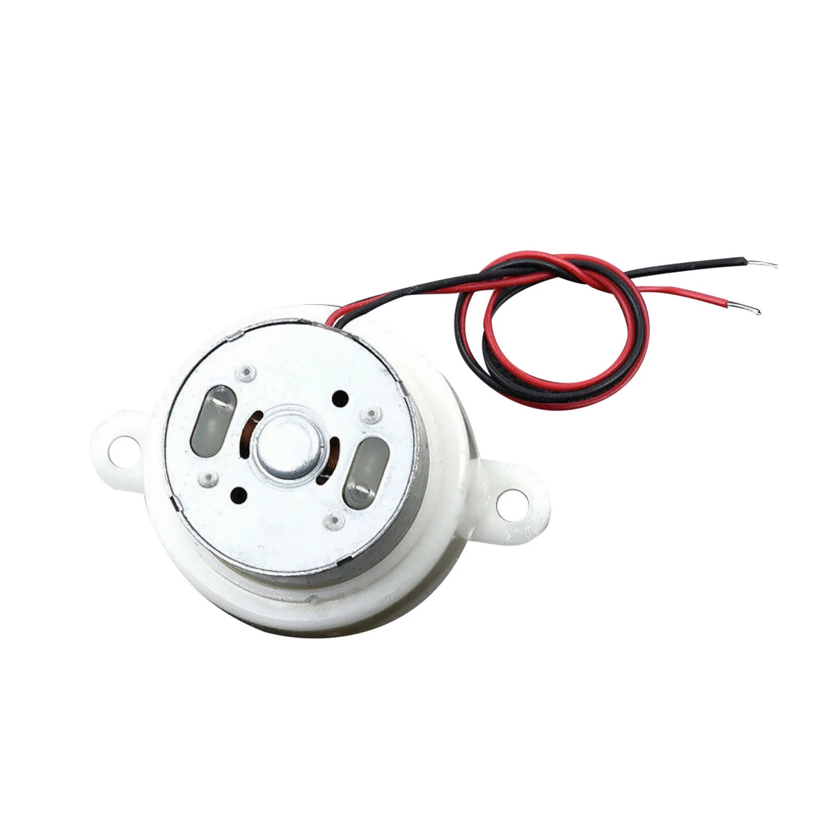 Micro 300 Mini Motor for Various Applications (21RPM Low Speed)