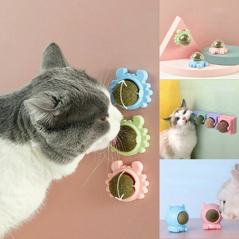 Catnip Ball Toy for Cats (Natural)