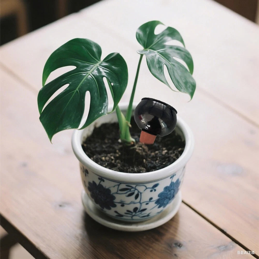 Slow Release Automatic Watering Drippers for Indoor Plants