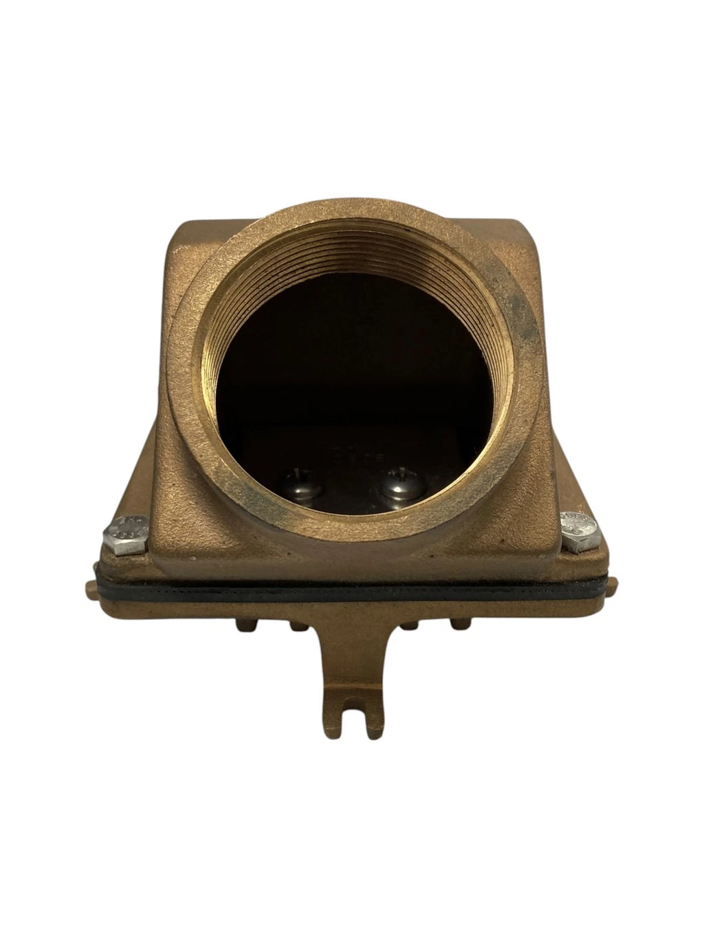 Edson Foot Valve 1 1/2" with Strainer & Viton Check for Marine (130V-150)