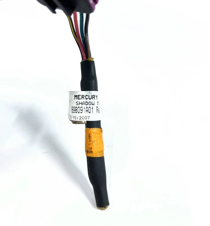 Resistor Assembly for Mercury (898091A01)