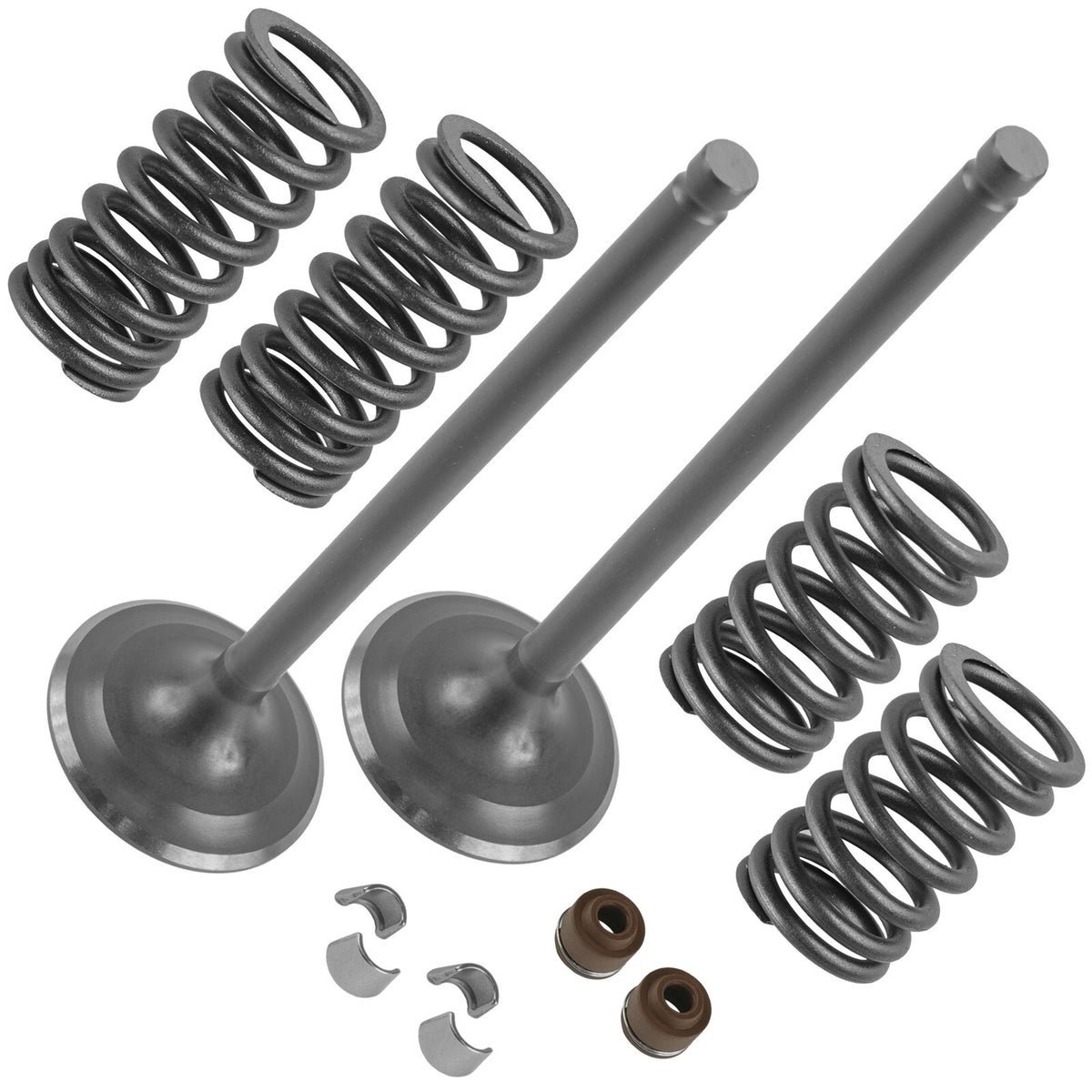 Exhaust Valve Kit Replacement Set for Honda Rincon TRX680 (2006–2022)