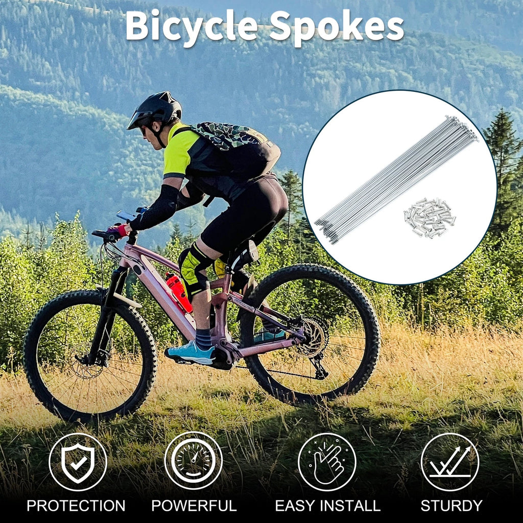 Bicycle Spokes Nipple Set 249mm Carbon Steel for Universal Use (Universal)