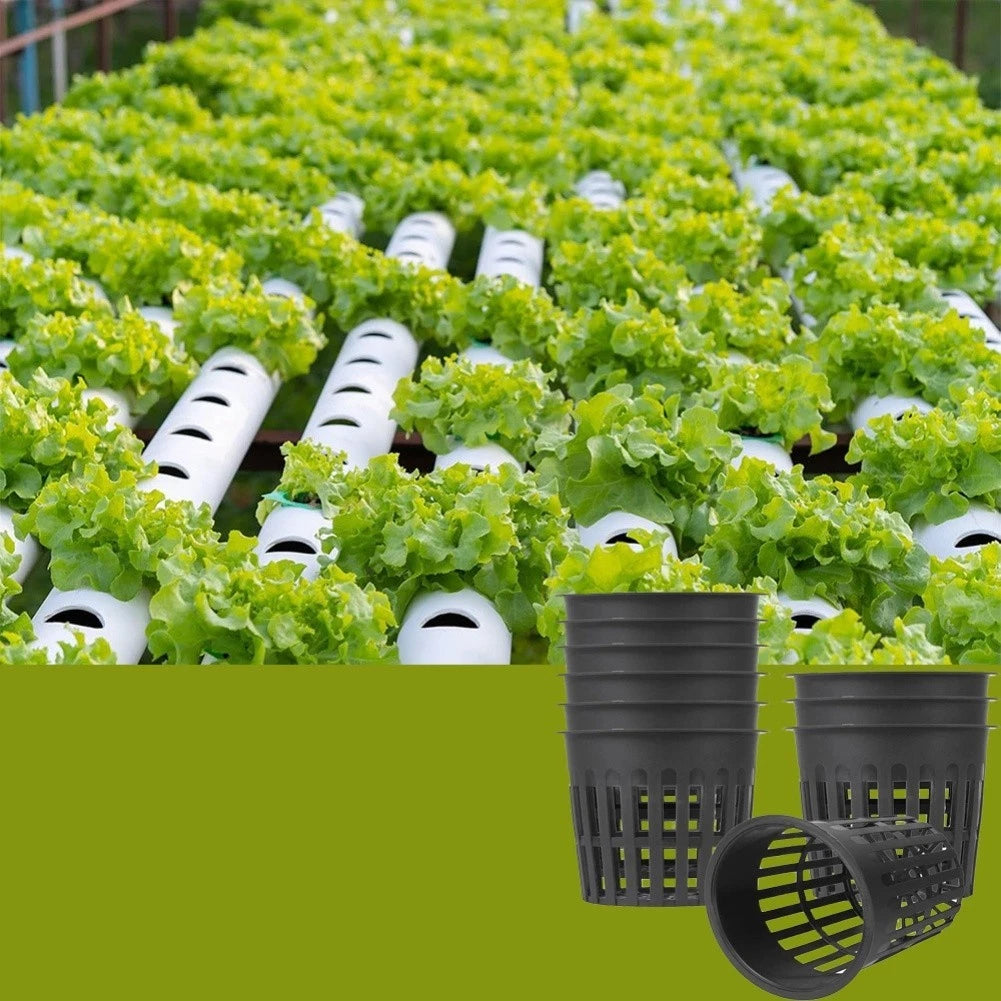Compact Garden Mesh Pot 11cm - Excellent Water Drainage