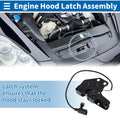 Hood Latch Assembly OEM Replacement for Audi A6 (2005–2008)