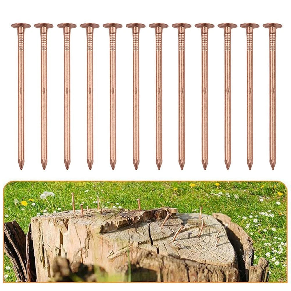 4 Inch Copper Nails for Tree Stumps and Root Removal (Garden Hardware)