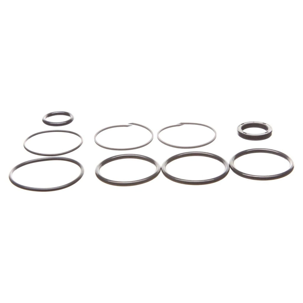 OMC Cobra Tilt/Trim Cylinder Seal Kit 0985060 985060 3854247 for OMC
