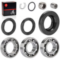 Rear Differential Bearing & Seal Kit for Honda Foreman TRX450 (2000–2006)