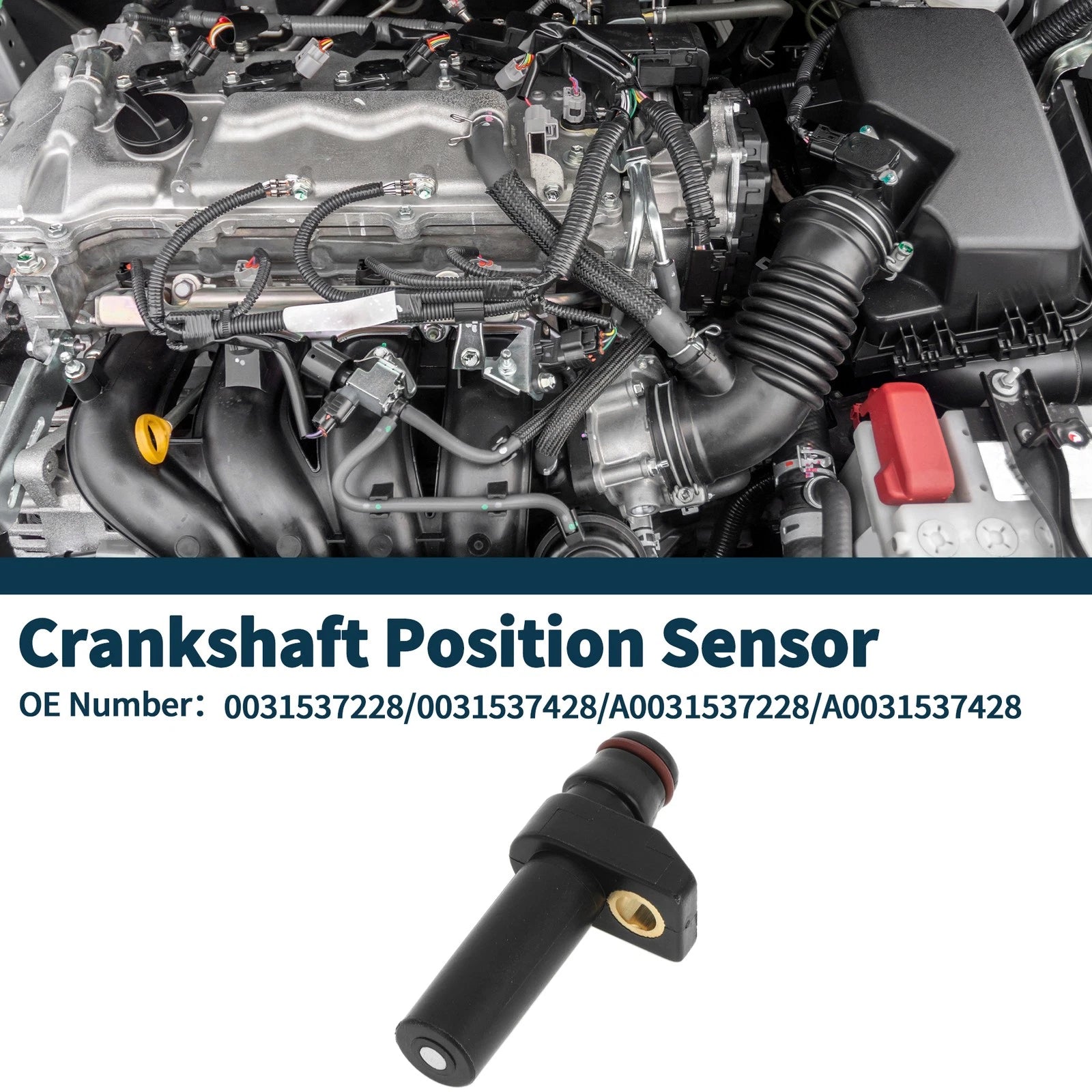 Crankshaft Position Sensor for Mercedes-Benz S320 3.2 (1996–1999)