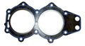WSM Gasket for