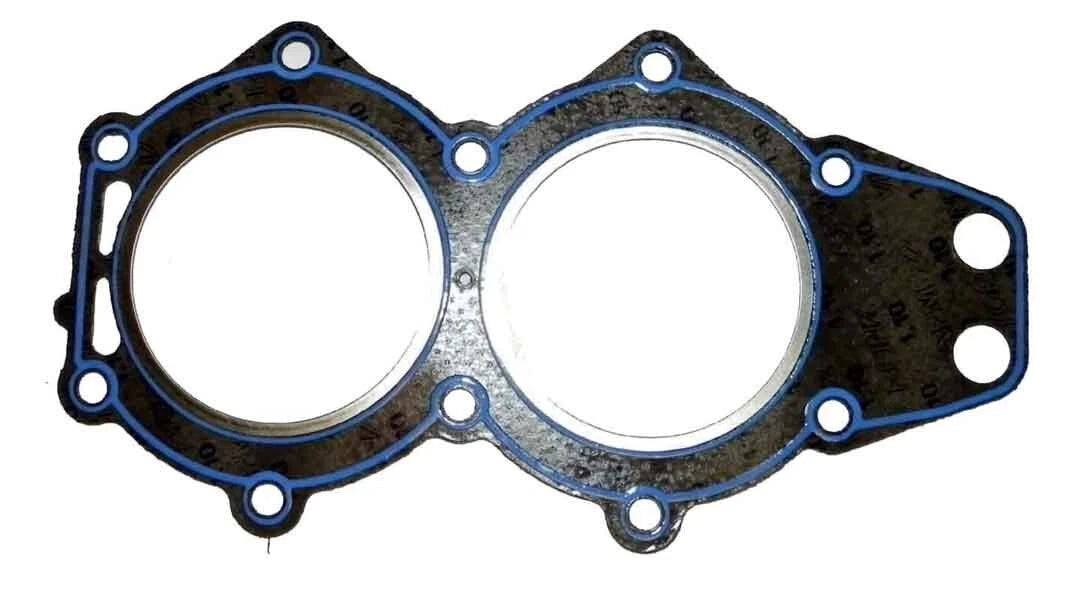 WSM Gasket for