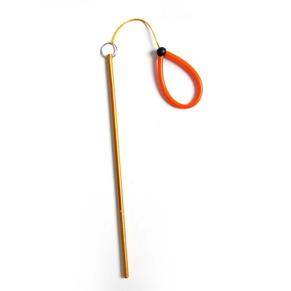 Underwater Exploration Tool with Scale Ruler for Marine Life Measurement