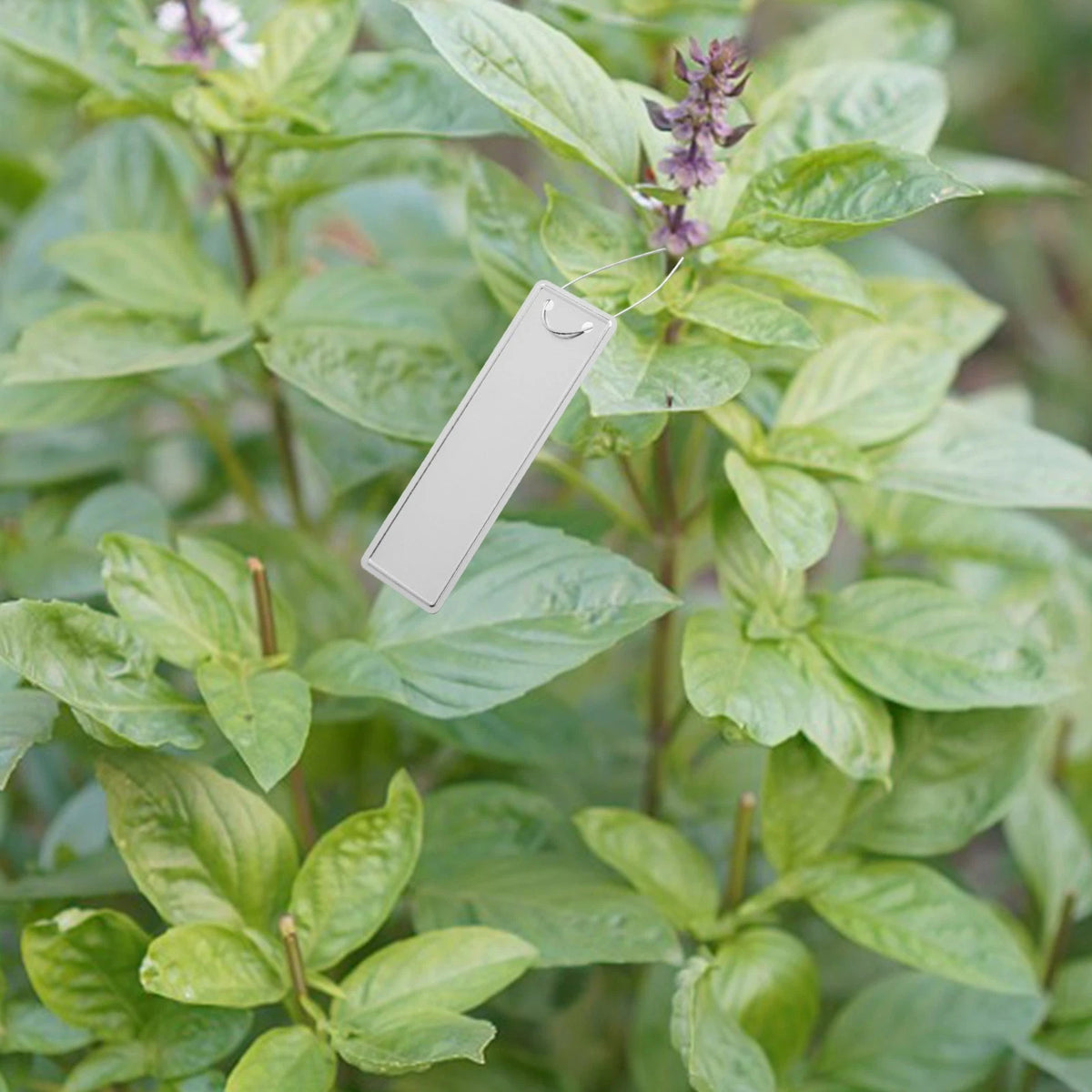 50pcs Double Sided Aluminum Plant Labels for Garden Use (2023)