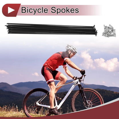 Bicycle Wheel Spokes Set 293mm 304 Stainless Steel for 20in Bike (Black)