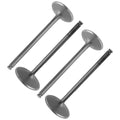 Intake & Exhaust Valve Replacement for Polaris Ranger 500 (2026–2026)