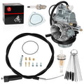 Carburetor w/ Throttle Cable for Suzuki Ozark 250 LT-F250 (2002–2007) 13110-05G01