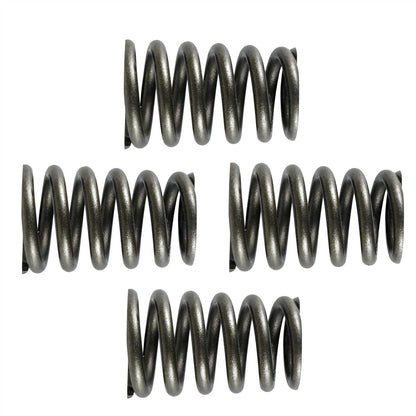 Valve Springs Set 4X Replacement for CanAm Renegade 850 (2016–2022)