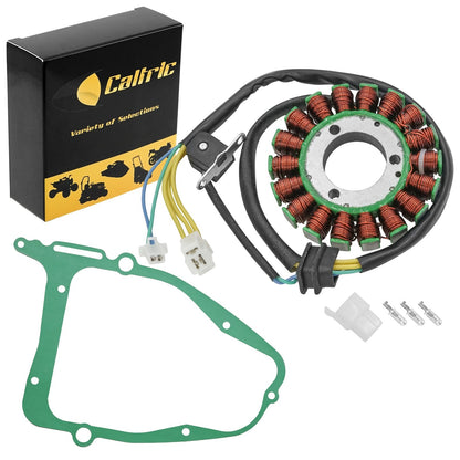 Stator and Gasket Replacement for Suzuki GZ250 (1999–2010)
