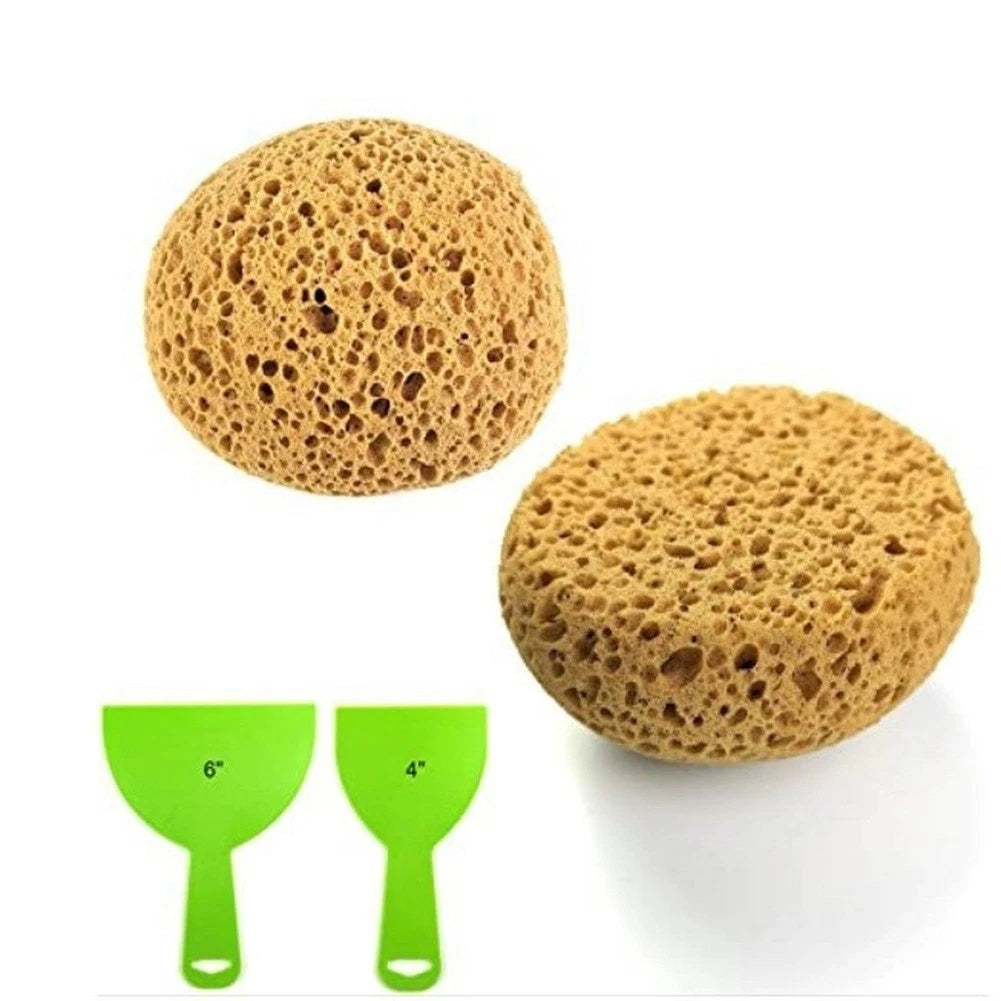 Natural Sea Sponge Multipack for Bath or Shower