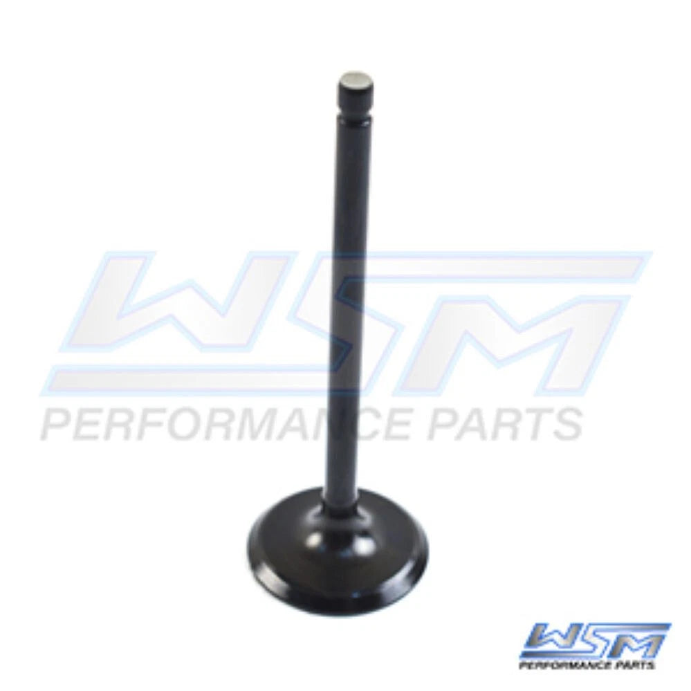 Intake Valve for Yamaha 115 HP 4-Stroke (2014–2021) - 120-262
