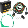 Stator and Gasket Replacement Kit for Kawasaki KLX400R (2003–2004)