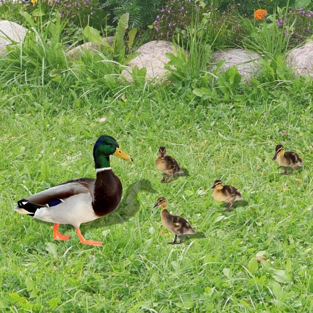 Acrylic Duck Decoration for Festive Garden