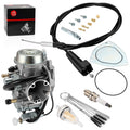 Carburetor and Throttle Cable for Suzuki Ozark 250 (2002–2007)