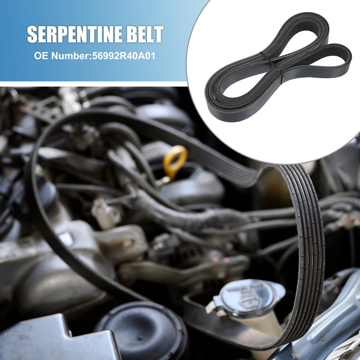 Serpentine Belt Replacement V-Ribbed for Honda Accord 2008–2012