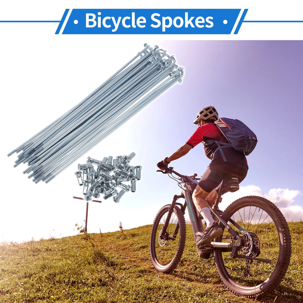 Bicycle Spokes Nipple Set 12G 170mm Carbon Steel Galvanized Universal (Universal)