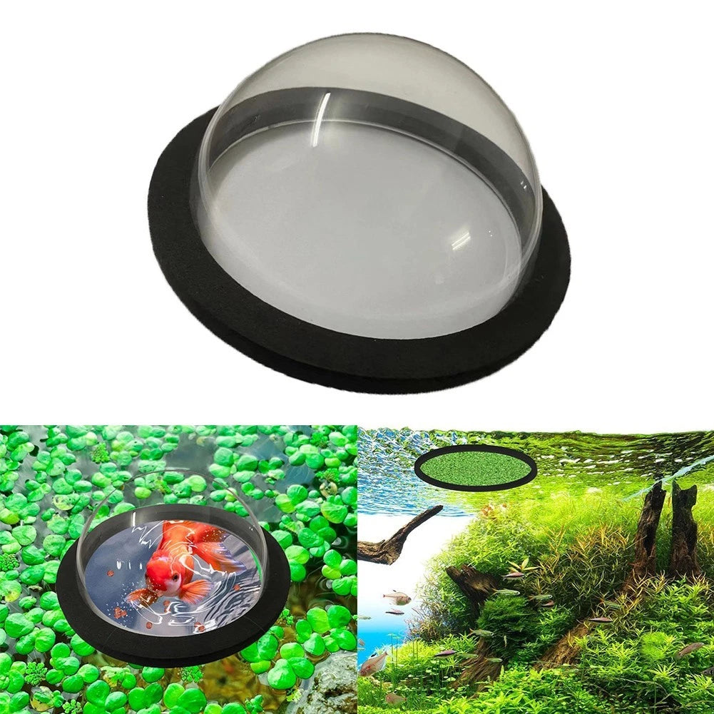 Acrylic Fish Enclosure for Outdoor Use