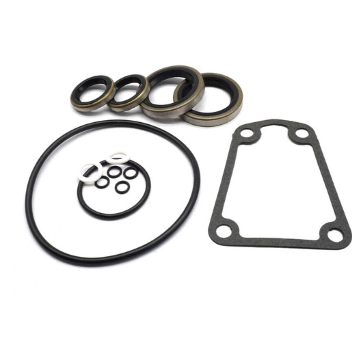 Lower Unit Seal Kit for Evinrude Johnson Outboard (18-2691)