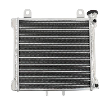 2 Row Radiator for Can-Am Bombardier DS650X DS650 (2004–2007) 709200145