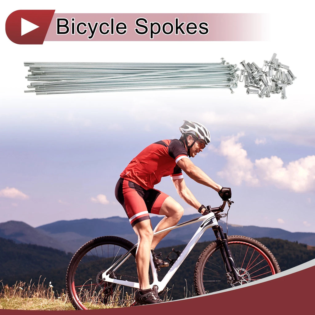 Bicycle Spokes 243 mm Carbon Steel Galvanized for 12G Wheel Spokes