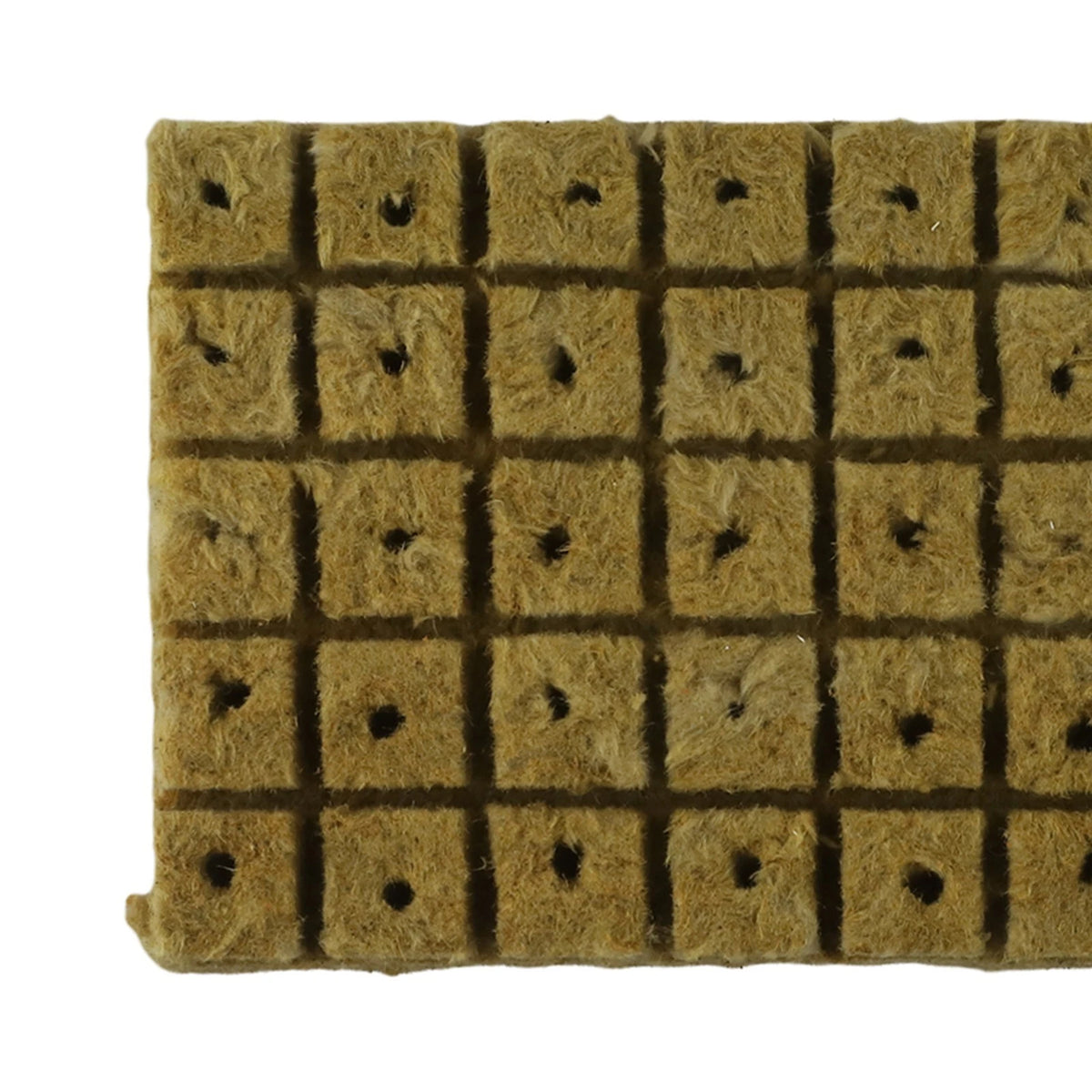 50 Pack Grow Starter Cubes for Successful Plant Establishment