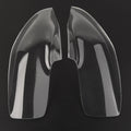 Headlight Guard Shield Lens Cover for Yamaha T-Max 530 (2017–2018)