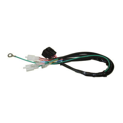 Digital Wiring Loom Harness for Lifan 150cc Engine (Pit Dirt Bikes)