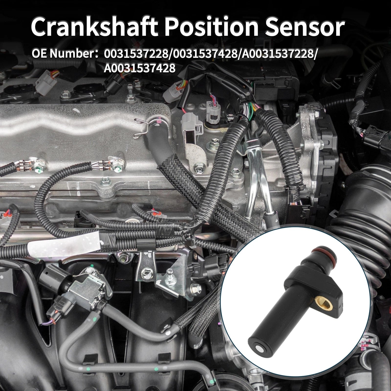 Crankshaft Position Sensor for Mercedes-Benz S320 3.2 (1996–1999)