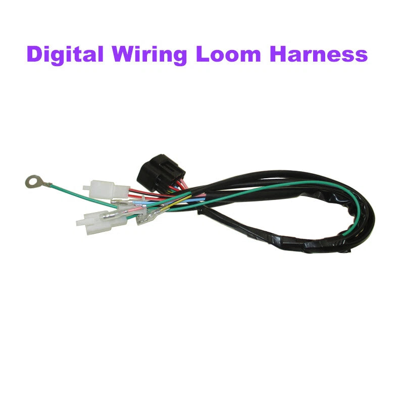 Digital Wiring Loom Harness for Lifan 150cc Engine (Pit Dirt Bikes)