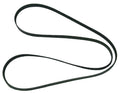 WSM Belt for