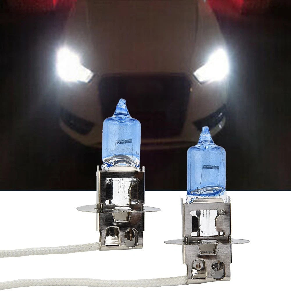 Fog Light Bulb 12V 453 Socket for
