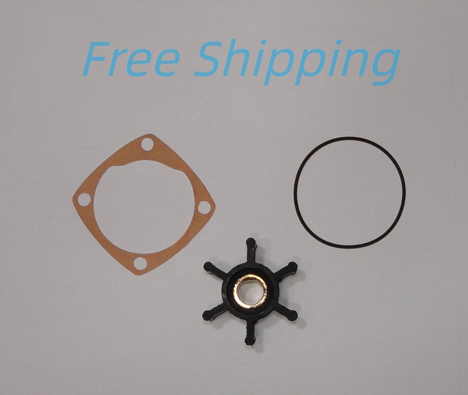 Impeller Kit for Onan 132-0316, 132-0277, Oberdorfer 202M-11, N202M-11