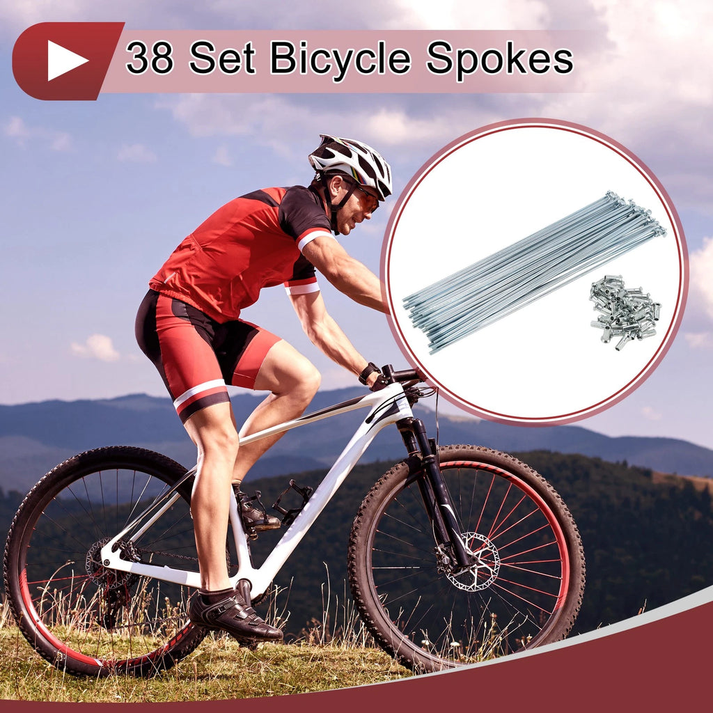 Bicycle Spoke Front Set for 12G 215mm Wheels (Silver Tone) (2005–2015)