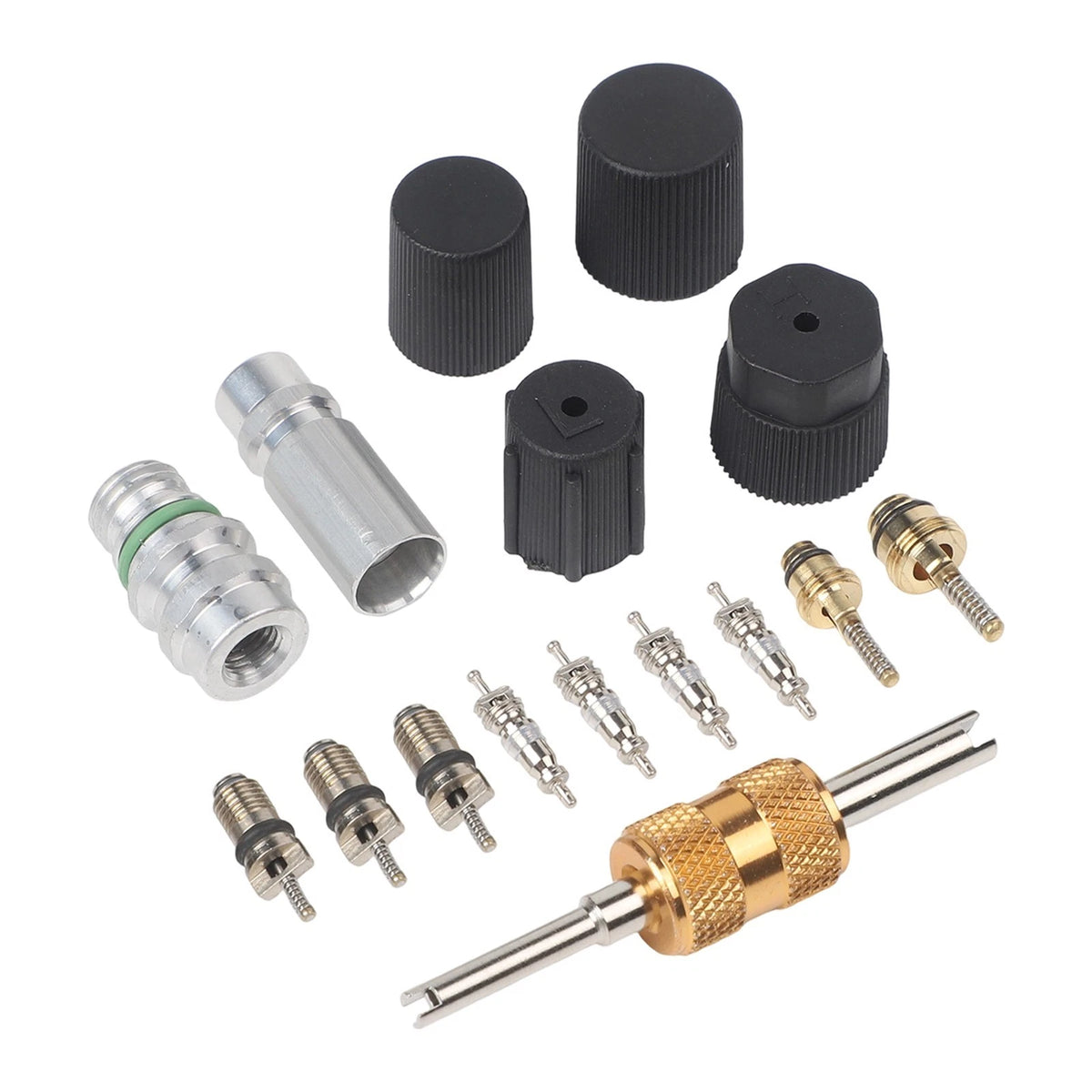 17PCS Air Conditioning Valve Core Kit for Automotive Repair