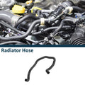 Radiator Hose Replacement for BMW 750i Warm Water Pipe (2010–2015)