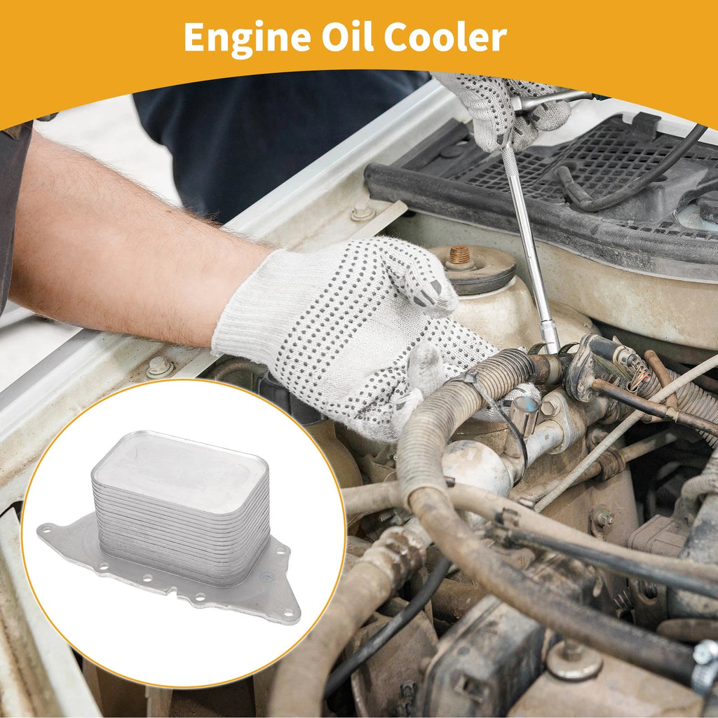 Engine Oil Cooler Replacement for BMW X1 and Mini Cooper (2011–2020)