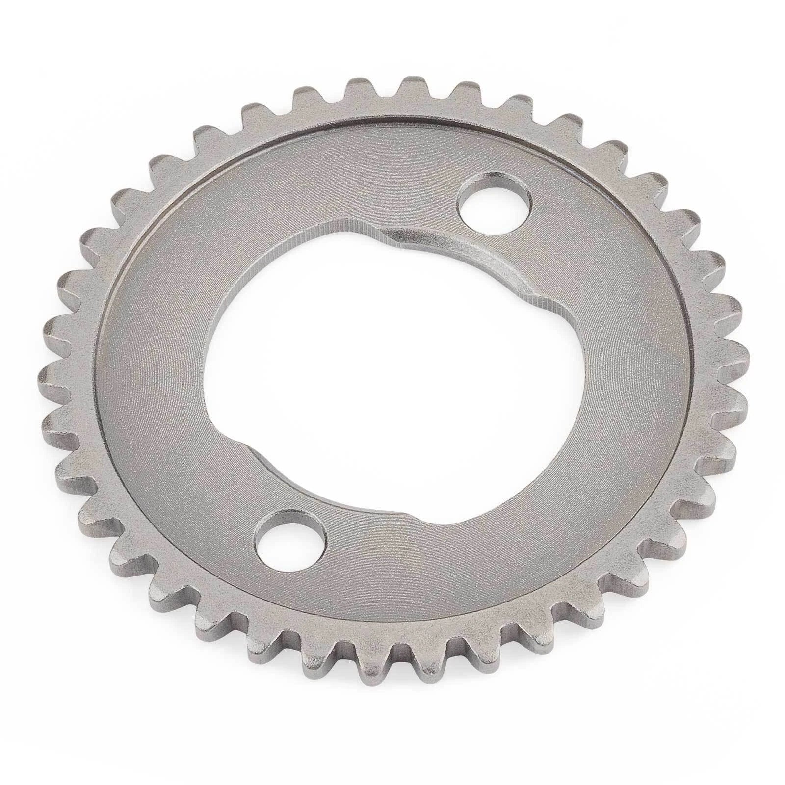 Cam Sprocket 38t with Timing Cam Chain for Honda Fourtrax TRX 300 (1993–2006)