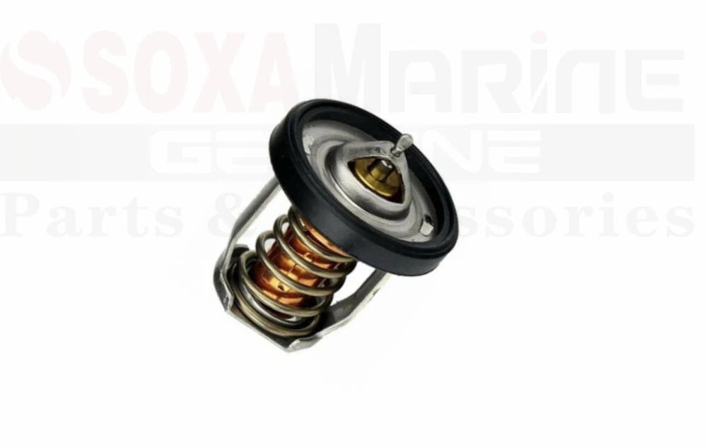 Outboard Thermostat Kit for Suzuki DF 2.5 4 5 6 9.9B 15A (1998–2023) 17670-91J00 17670-91J01